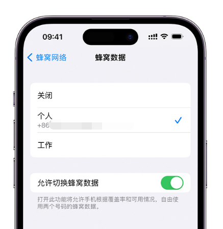 邵阳苹果维修服务分享如何在iPhone上使用双卡 